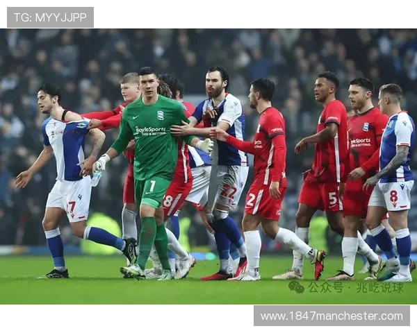 英超海鸥布莱顿近期表现稳健，竞争力持续提升