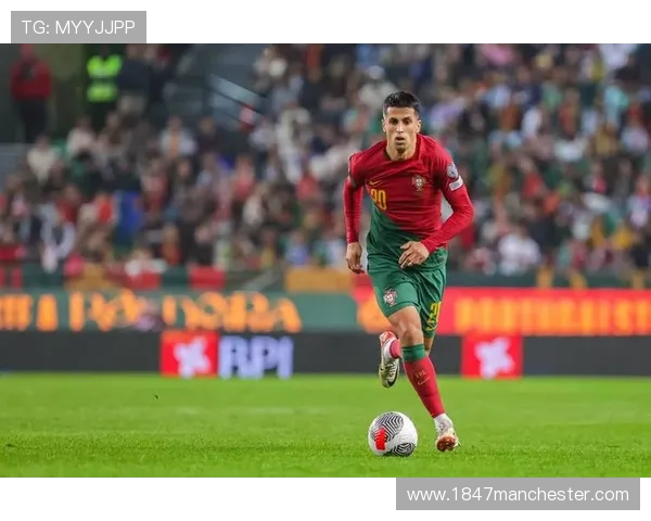 从布拉加打出身价到回归葡萄牙体育：帕利尼亚的关键转折