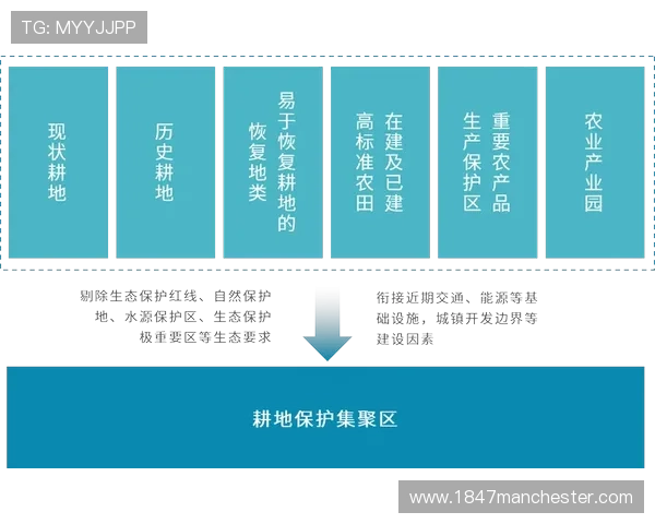 阿贾克斯欧战竞争力恢复情况：阶段性表现波动与影响范围探讨